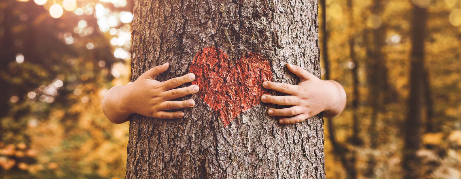 Ihr Heizungskonfigurator